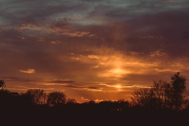 Gün batımında ağaçlar ve göl. Güneşli arka planda bahar manzarası. Resimli manzara, romantik manzara, çayır, gölet ve orman, doğal güneş ışığı, parlak renkli dramatik gökyüzü.