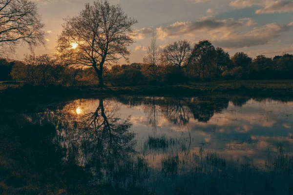 Sunset Trees Lake Spring Landscape Sunny Backlight Picturesque View Romantic — Zdjęcie stockowe