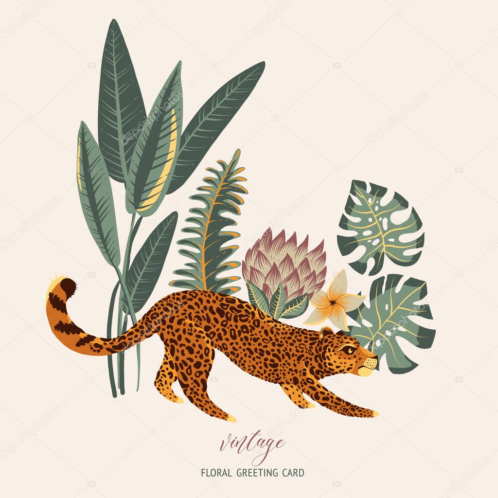 Tropical vector greeting card. Tiger, palm trees, green leaves, monstera, exotic flowers