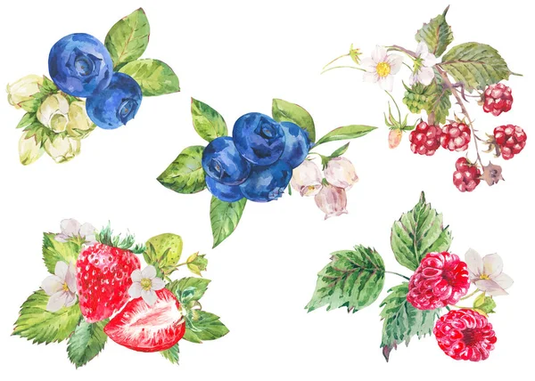 Aquarell Sommer Set Von Beeren Früchte Erdbeeren Blaubeeren Isoliert Auf — Stockfoto