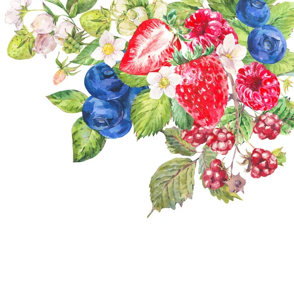 Aquarell Sommerbeeren Grußkarte Früchte Erdbeeren Blaubeeren Isoliert Auf Weiß — Stockfoto