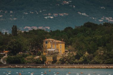 Adriatic sea, Slovenia, coastline with pine trees and sea,summertime