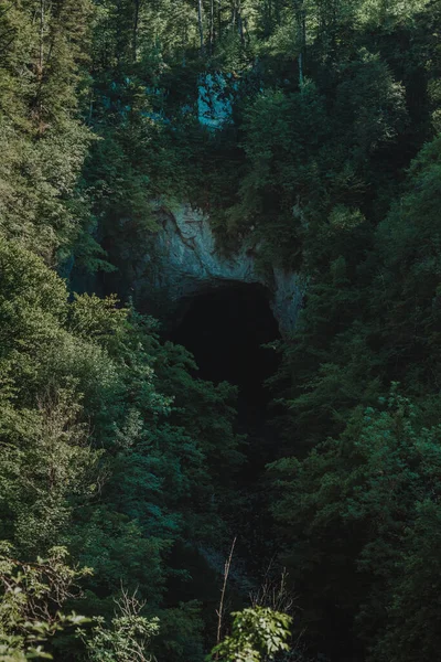 Stone cave in the forest, wild forest, nature background