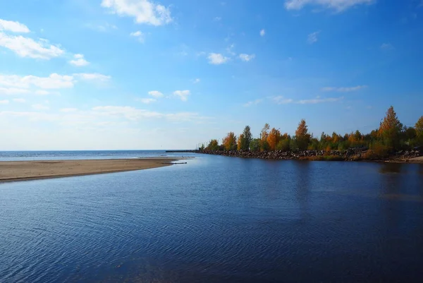 Côte Golfe Finlande Saint Pétersbourg Belle Nature Golfe Finlande — Photo