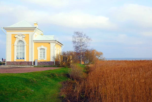 Peterhof Park Petersburg Finlandiya Körfezi Kıyısında Çeşmeli Bir Park — Stok fotoğraf