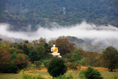 White Buddha statue located in forest 