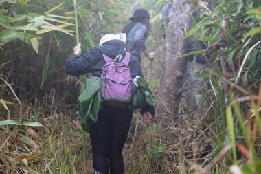 Mother and her Daughter walk in forest