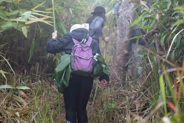 Mother and her Daughter walk in forest