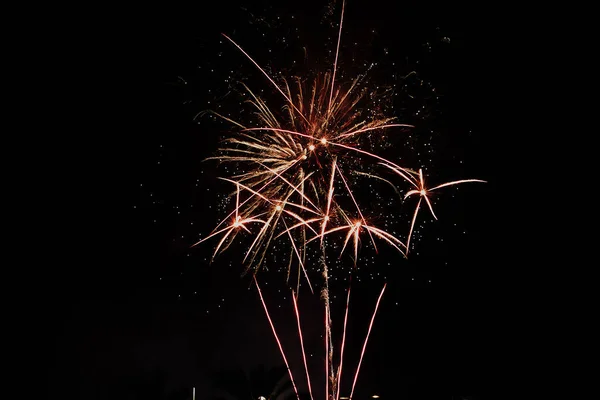 Multicolored Fireworks Night Sky Celebration Independence Day New Year Other — Stock Photo, Image