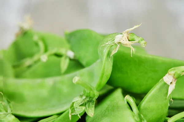 Snow peas are legume in which both the peas and the pod are edible.