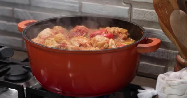 Töltött Káposzta Tekercs Töltött Paprika Töltött Paradicsom Főtt Pot Gáztűzhelyen — Stock videók