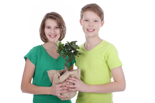 Retrato de un niño y una niña con un árbol de marihuana — Foto de Stock