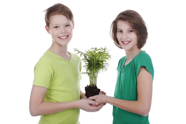Porträtt av en pojke och en flicka med en pot-träd — Stockfoto