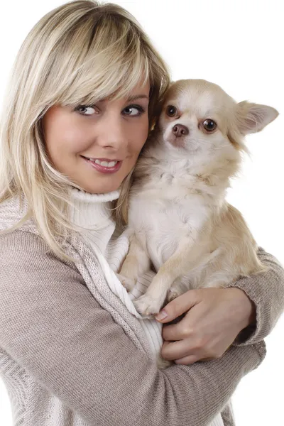 Mulher atraente com um pouco de cachorro chihuahua — Fotografia de Stock