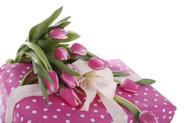 Rosa Tulpen mit rosa gepunktetem Paket — Stockfoto