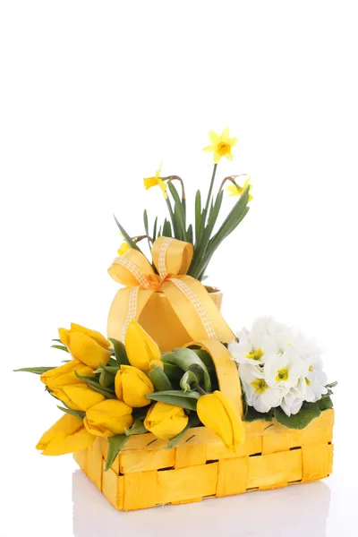 Atraktivní koš naplněný Petrklíč, tulipán a narcisy — Stock fotografie