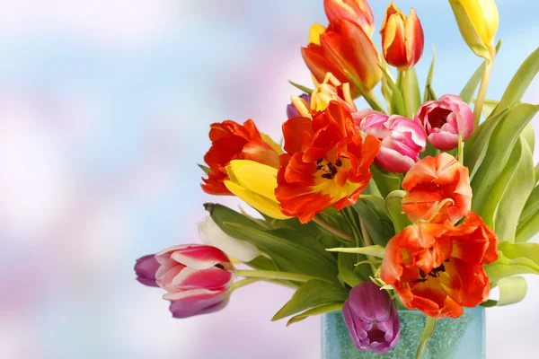 Lindas tulipas coloridas — Fotografia de Stock