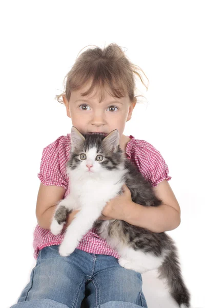 Meisje met zoete weinig kat — Stockfoto