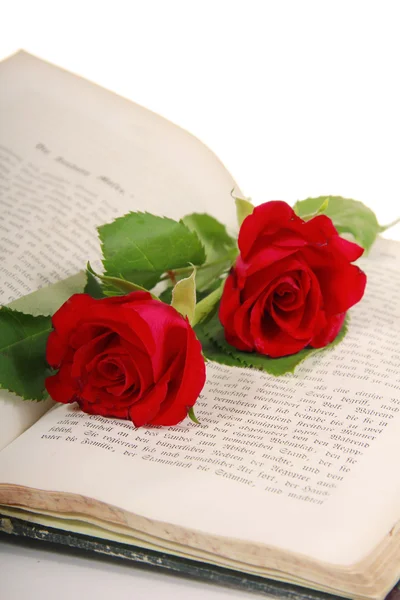 Otevřel knihu s bandou růží — Stock fotografie