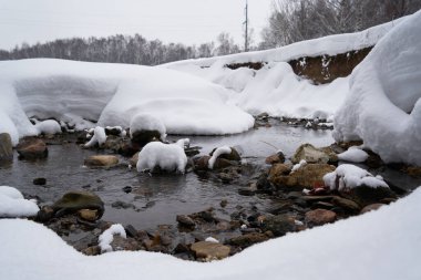 Parkta karlı kıyıları olan bir nehir