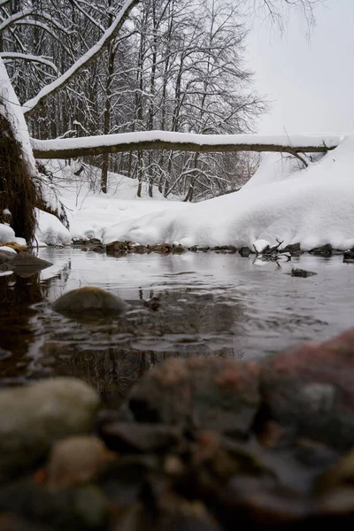 Tiefpunkt-Aufnahme eines Flusses — Stockfoto