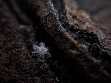 Kahverengi eldivendeki kar tanesi