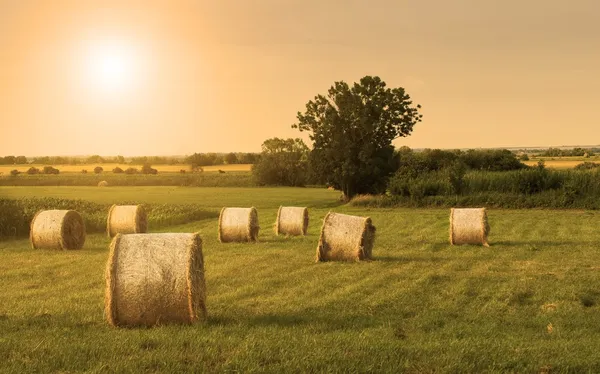 Ballen — Stockfoto