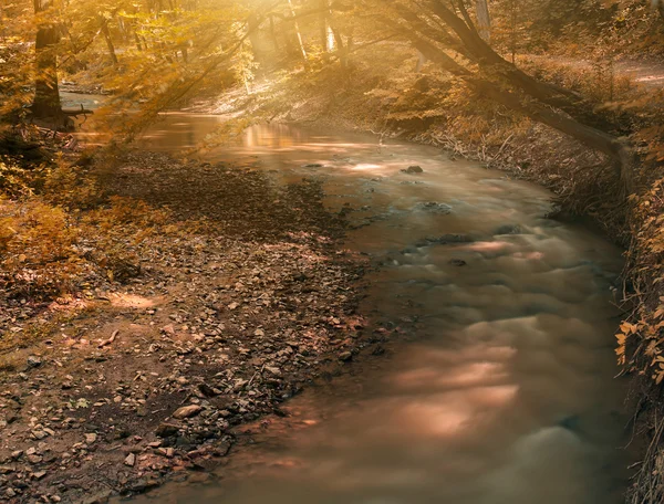 Nationalpark — Stockfoto