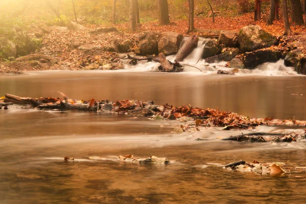 Stream — Stock Photo, Image