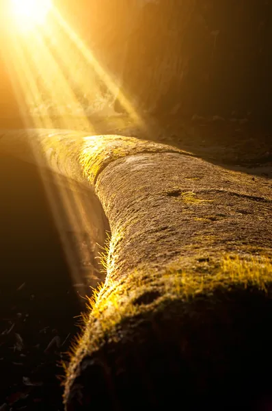 Strahlenlicht — Stockfoto