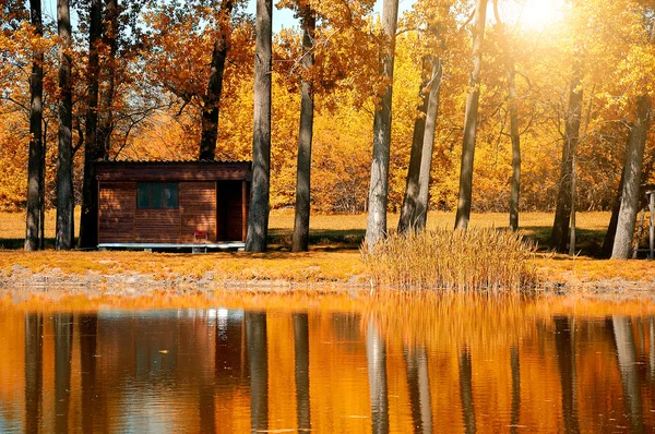 Log Cabin — Stock Photo, Image