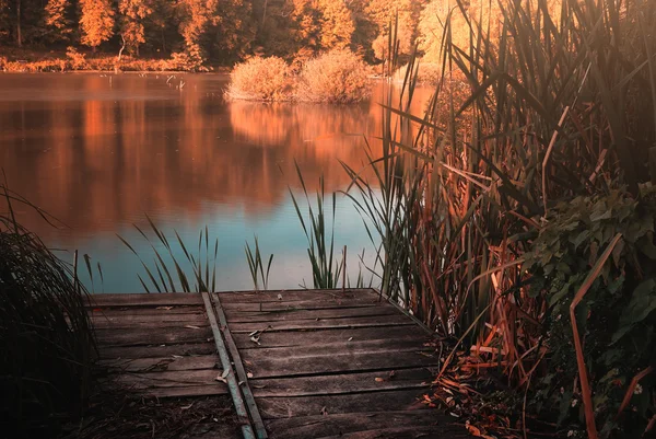 Lago do Outono — Fotografia de Stock