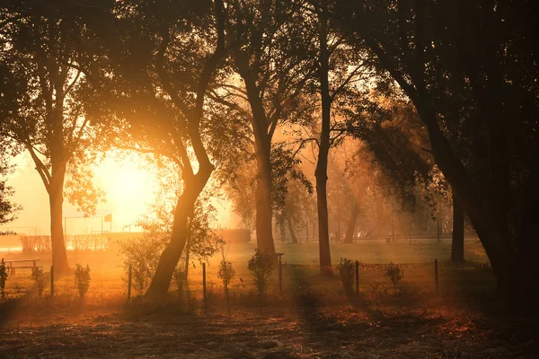 Luci Mornig — Foto Stock