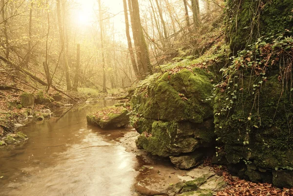 Vallei — Stockfoto