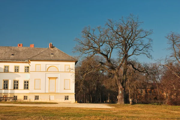 Park zamkowy — Zdjęcie stockowe