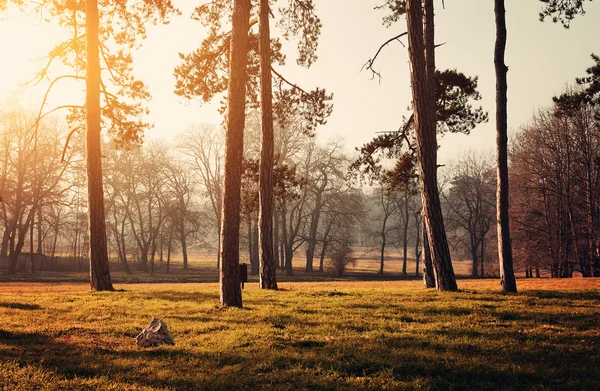 Parco — Foto Stock