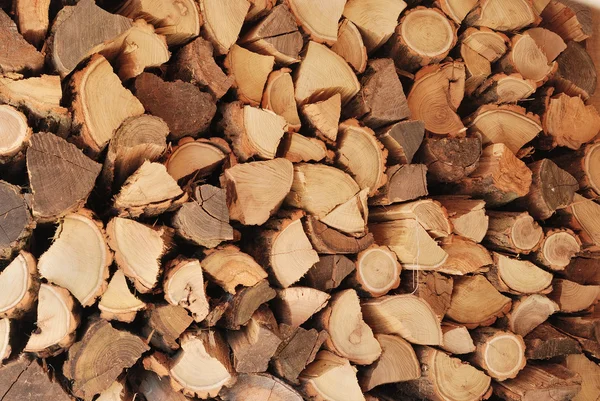 Fuelwood — Stock Photo, Image
