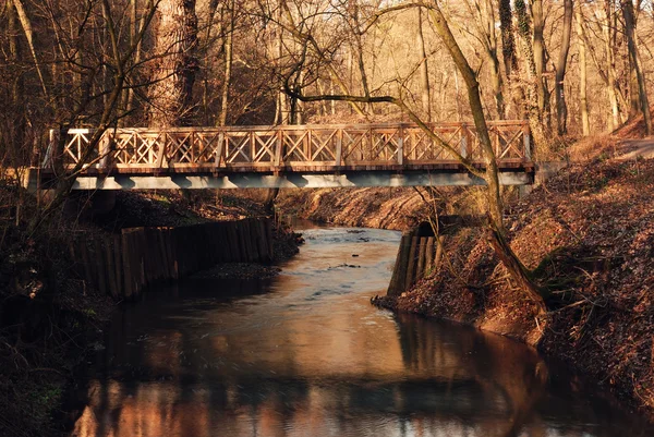 Híd a parkban — Stock Fotó