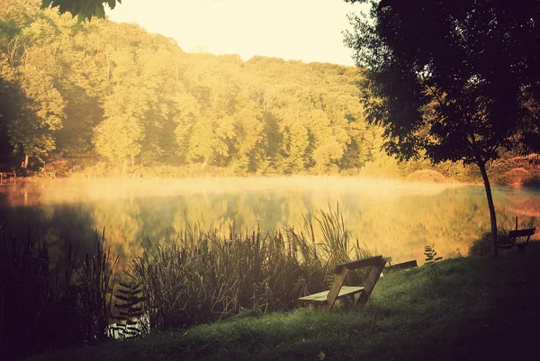 Lake in morning lights — Stock Photo, Image