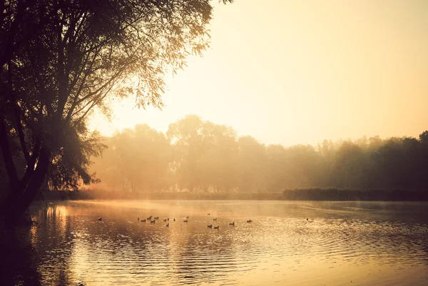 Lago — Fotografia de Stock