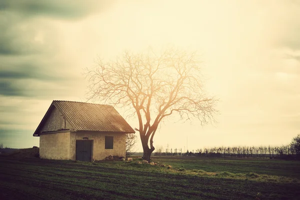 孤独な古い家 — ストック写真