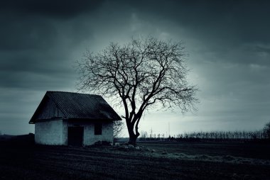 Perili ev