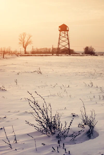 Campo de invierno — Foto de Stock