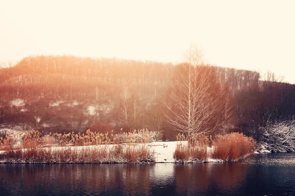 Lago invernale — Foto Stock