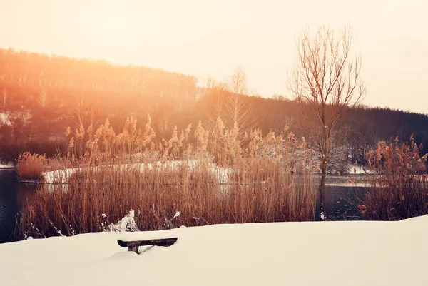 Parque de invierno — Foto de Stock