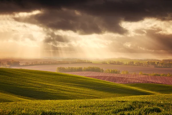 Vackra fält — Stockfoto