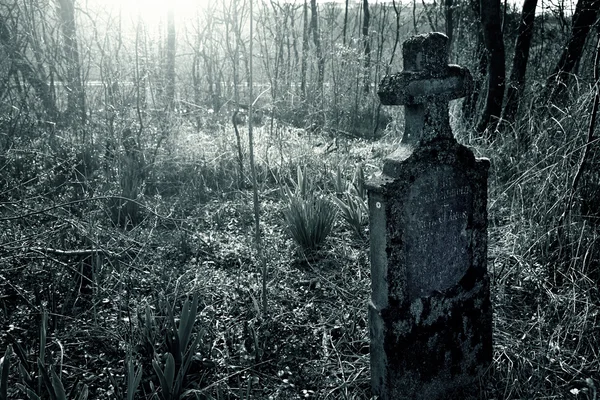 Old cemetery — Stock Photo, Image