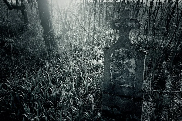 Vecchio cimitero — Foto Stock