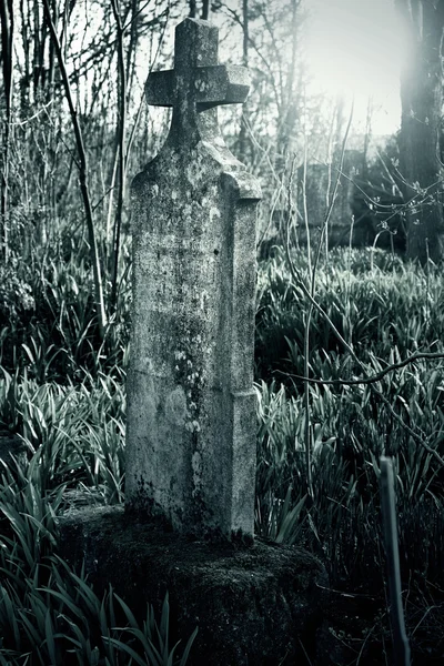 Vecchio cimitero — Foto Stock