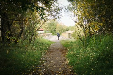 Sonbahar ormanlarının gölgesinde yürüyüş yolu. Önünde bir adam köprü yoluna çıkıyor.